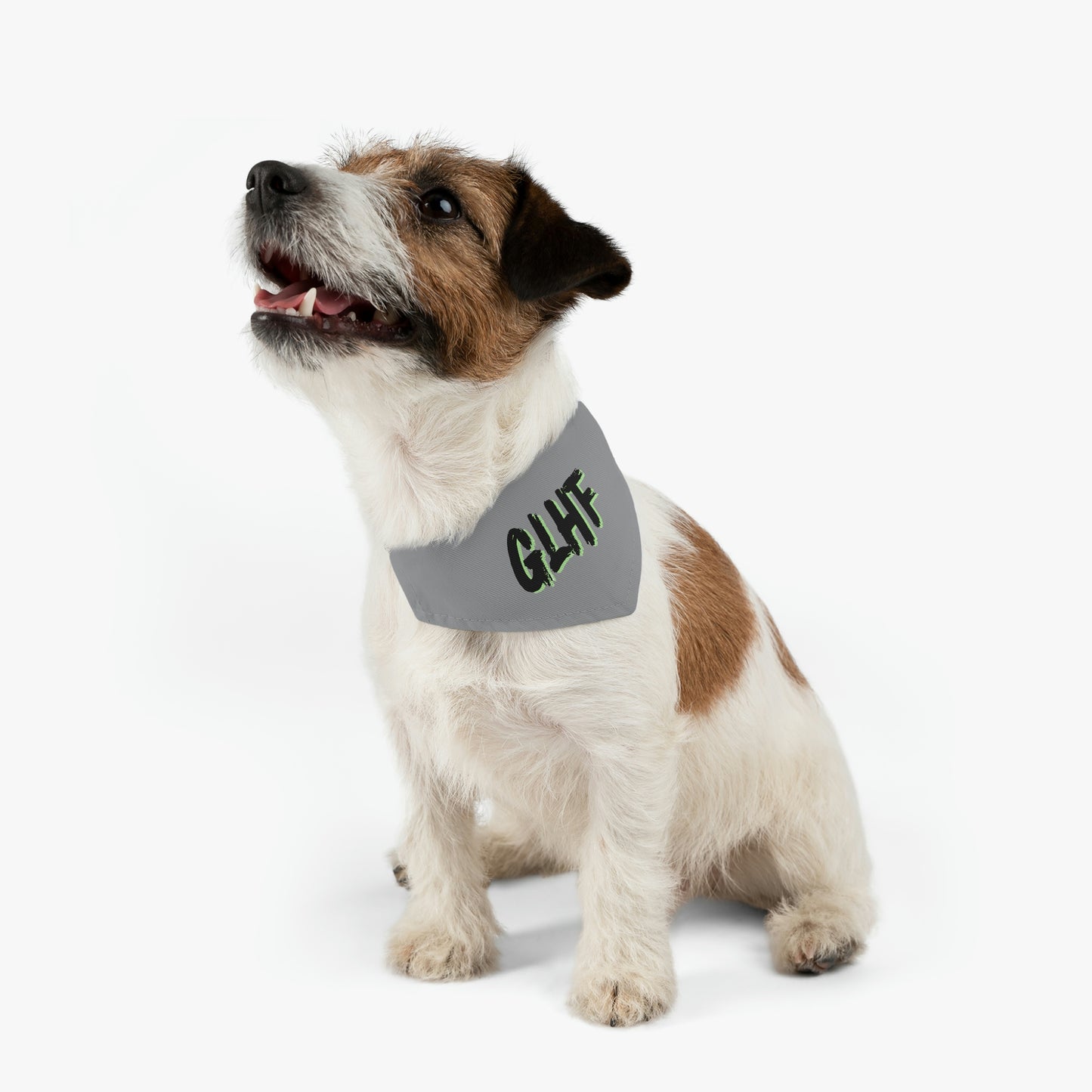 GLHF Pet Bandana Collar - GREEN