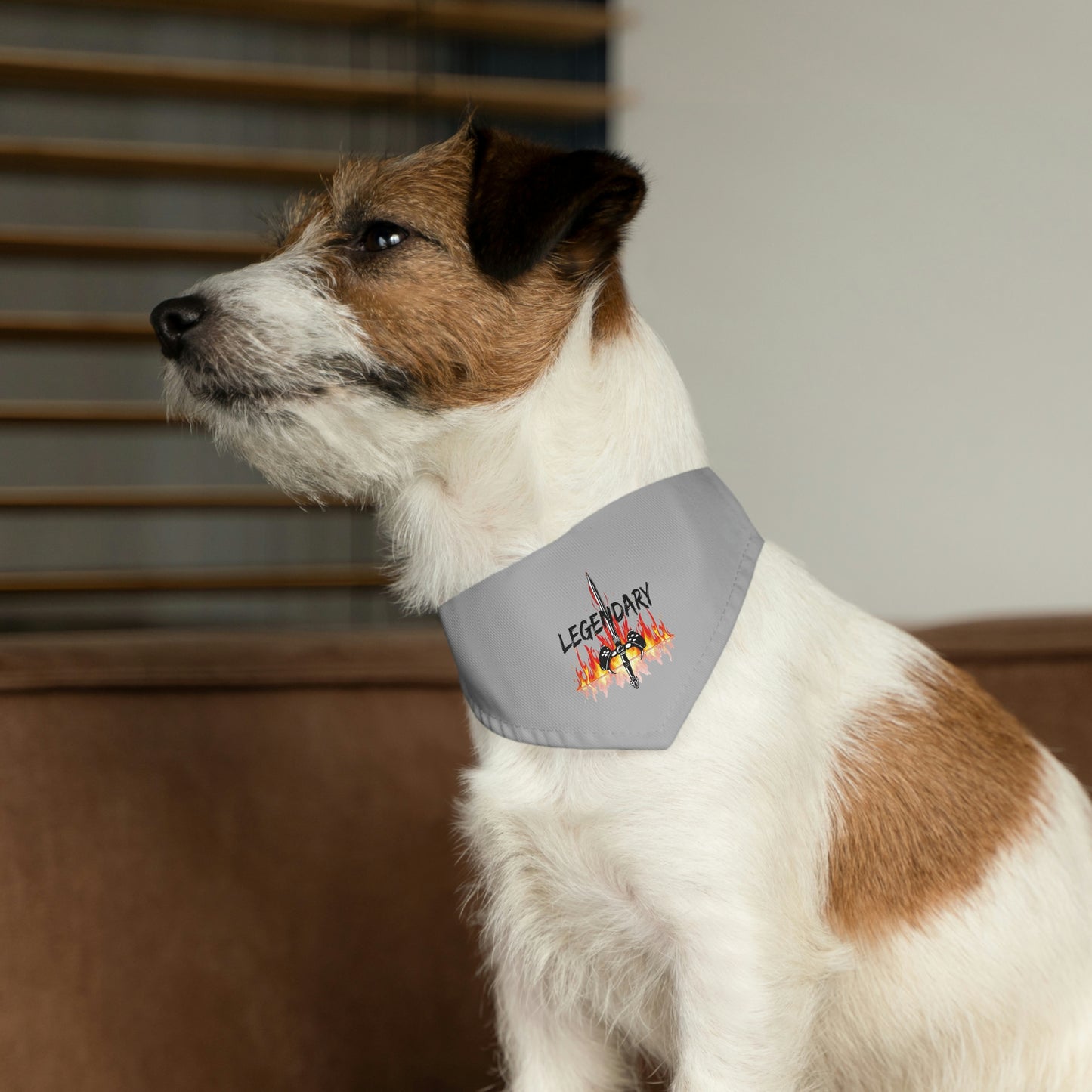 Legendary Pet Bandana Collar